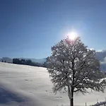 Laerchenhof *
