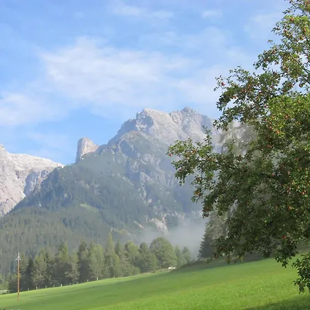 Laerchenhof شقة *