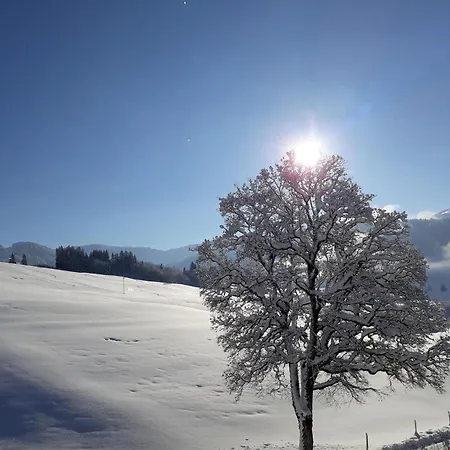 Laerchenhof *