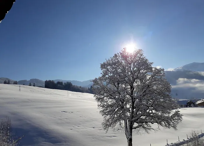 Laerchenhof *